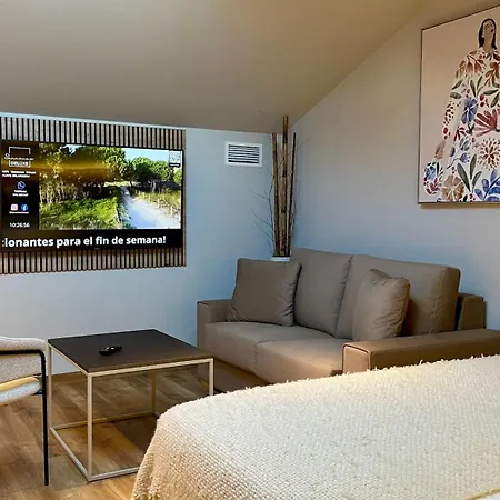 Deluxe Apartment *